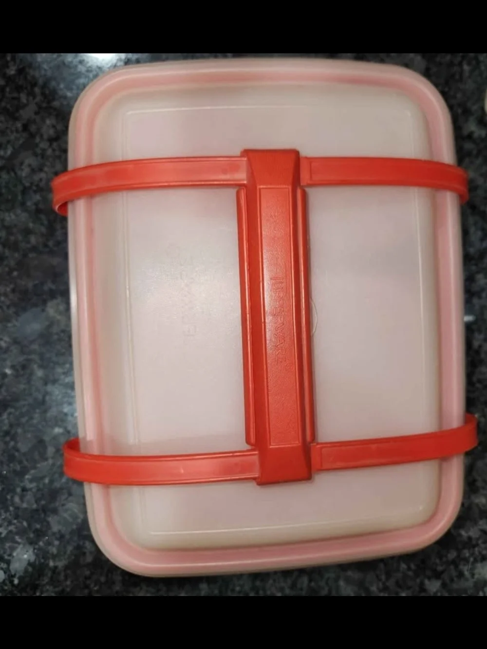 Vintage Tupperware Lunch Box